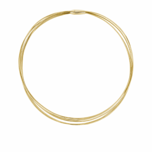 Pesavento Halsreif DNA Shiny